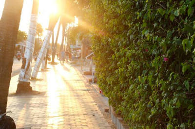 时间可以忘记一切,但不是一切