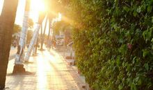 时间可以淡忘一切，但是不能忘记一切