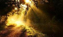 致友情的唯美句子