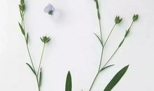 2019霸气犀利句子