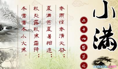 关于玉米的谚语