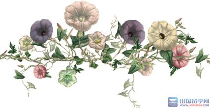 送花给女性朋友