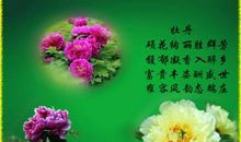 写给朋友的祝福语