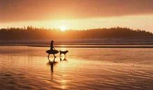 我们都是如此平凡，始终奔走在寻找真正的自己的路上