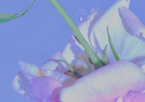 根深蒂固的情感文案，斗隐最热门的情感文案