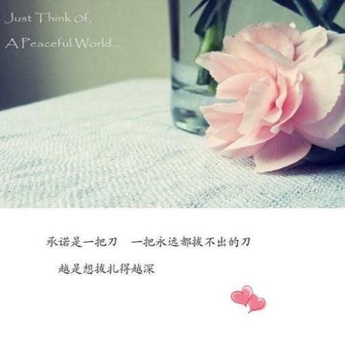 用经文表达爱意