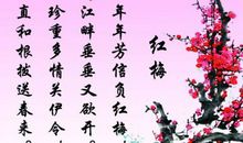 赞美梅的句子