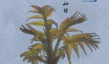 雨前征兆的谚语