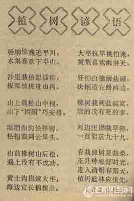 天气谚语三年级