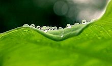 白露天气的谚语