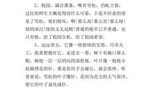 描写松树精神的段落