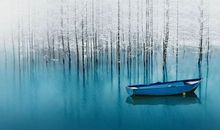 淡然安静的句子