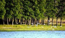 含有平凡的唯美句子