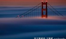 形容付出就有收获的谚语