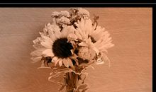 怀念亲人的句子