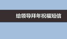 给领导同事拜年短信