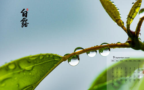 二十四节气谚语白鹿