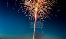 描写烟花绽放的句子