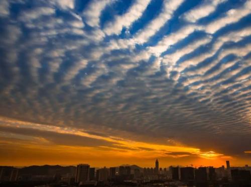 关于观看云层和了解天气的谚语