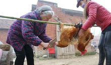 90岁外婆新年祝福语