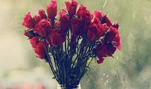 给夫妻祝福语大全集