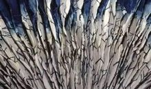 白布落染缸歇后语