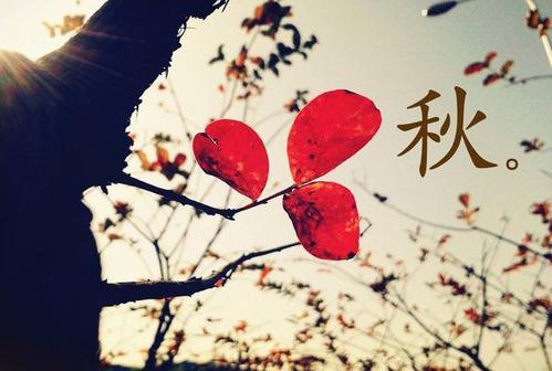 关于秋天的感伤句子