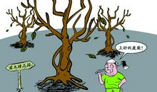 濒临死亡的造句大全