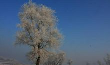 冰天雪地造句大全