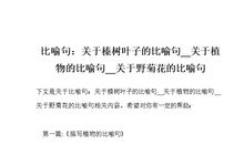 有关菊花的比喻句