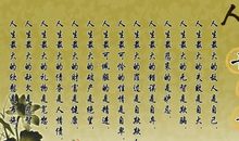 抖音名言名句经典语录