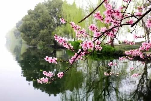 描述三月美丽的句子