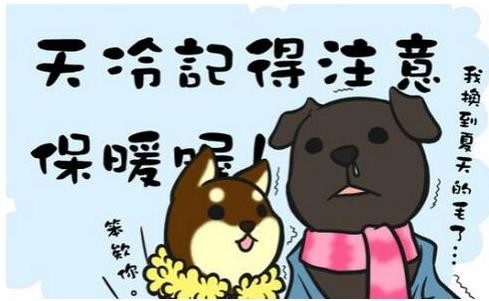 一句话描述十二月的天气