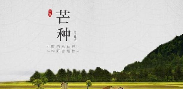 与芒物种有关的谚语