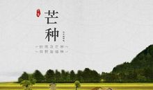 跟芒种有关的谚语