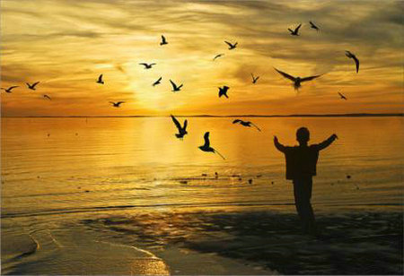 那些应该留下的人不会离开，那些应该留下的人不会留下。如果什么都没发生，最好的心态是