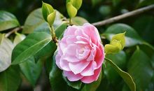 深情一点的诗句