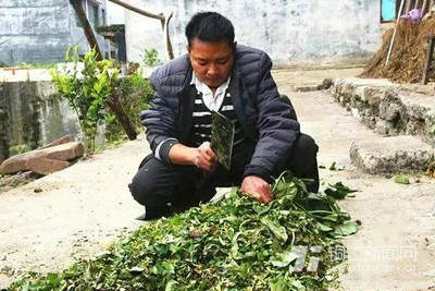 贫穷并不可怕，可怕的是缺乏自力更生