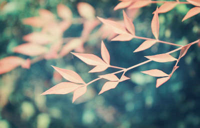 最美的句子和经典的句子:有时候,爱情是为了悄悄地藏起来