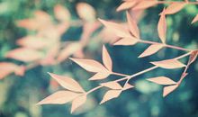 最唯美的句子经典语句：有些的时候，正是为了爱才悄悄躲开