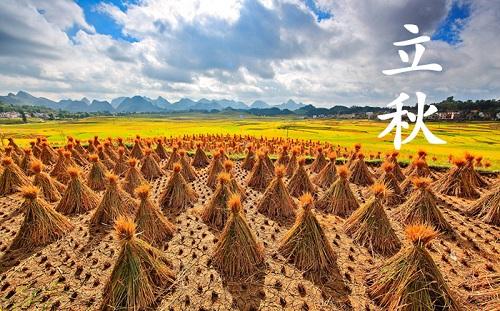 关于丽秋农的谚语