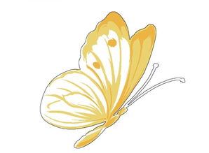 蝴蝶写了一个比喻