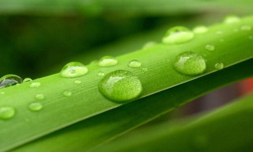 描述水滴的寓言