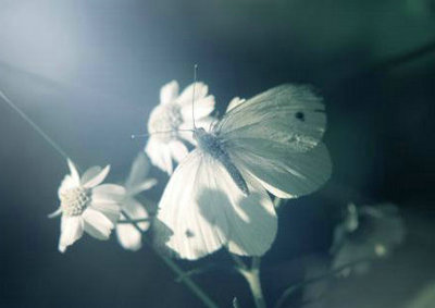 任何人都可以让你失望，但你不能1