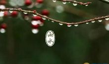 雨水节气的谚语