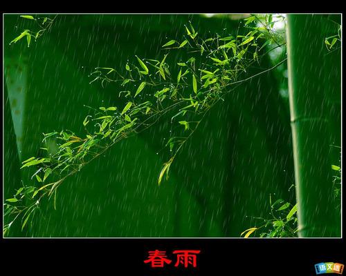 美丽的句子描述香水