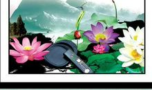 关于磨练意志的成语