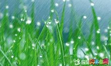春雨是比喻句