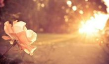 空想人生不算，需要行动才知道深浅