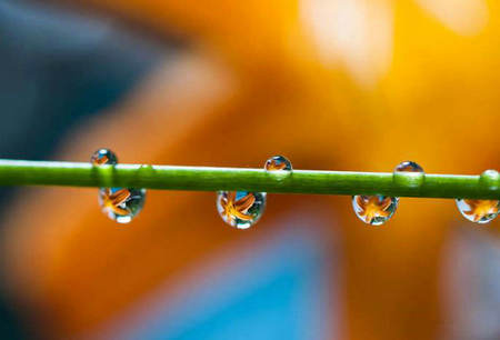 整天担心，最好贬低得失，学会放手1